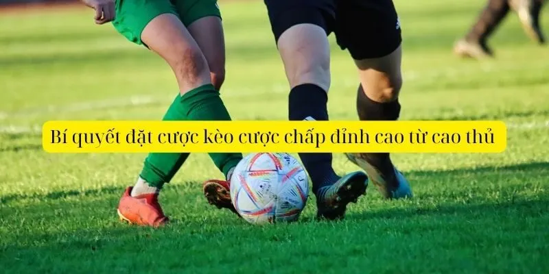 AE888 hiển thị tỷ lệ kèo chấp 1.75 đầy đủ trước và trong trận, giúp người chơi vào cược chính xác.